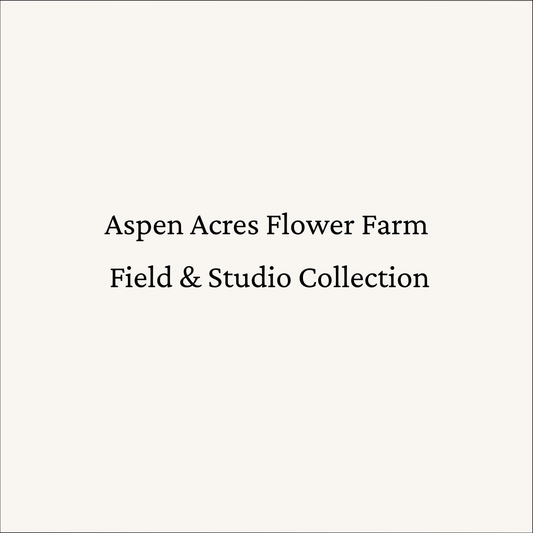 Redecker Vegetable Brush Dual Bristle